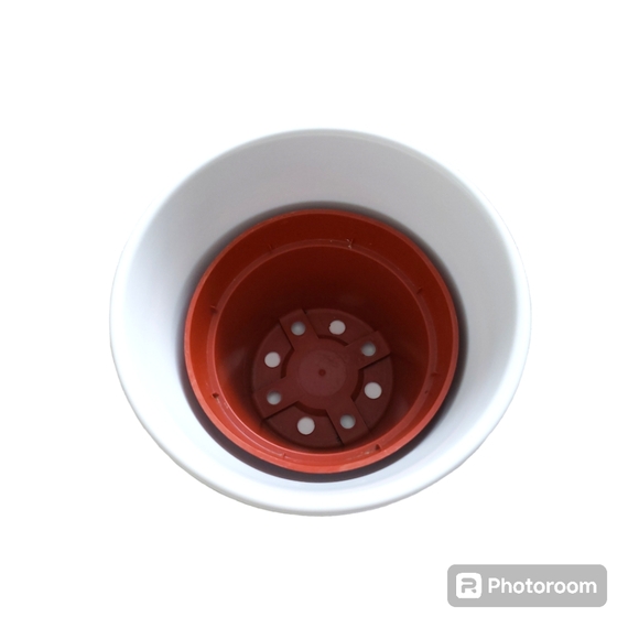 White Ceramic Planter - Picture 6 of 6